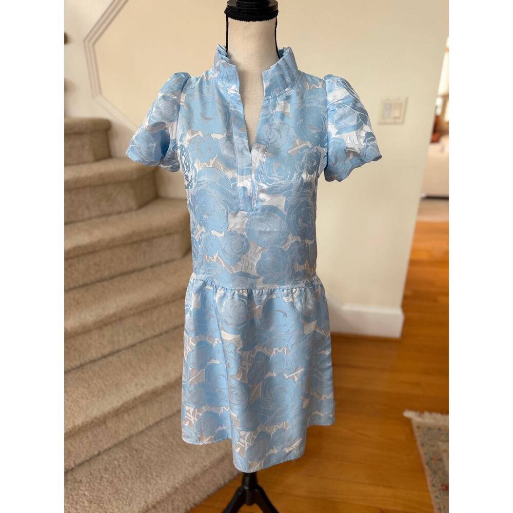SSYS Palmer Baby Blue Floral Brocade Puff Sleeve Drop Waist Knee Length Dress